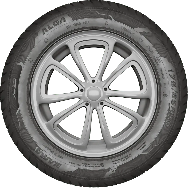 KAMA ALGA (НК-531) нешип в Сергиеве Посаде — KAMA TYRES KAMA ALGA (НК-531) нешип в Сергиеве Посаде